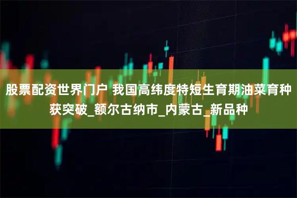 股票配资世界门户 我国高纬度特短生育期油菜育种获突破_额尔古纳市_内蒙古_新品种