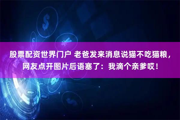股票配资世界门户 老爸发来消息说猫不吃猫粮，网友点开图片后语塞了：我滴个亲爹哎！